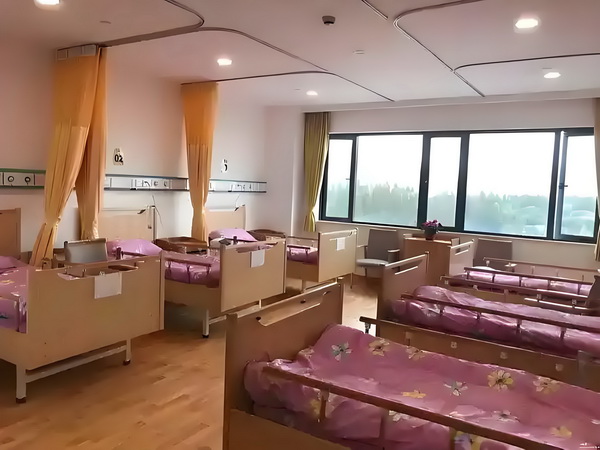 落跑王妃：掬月记